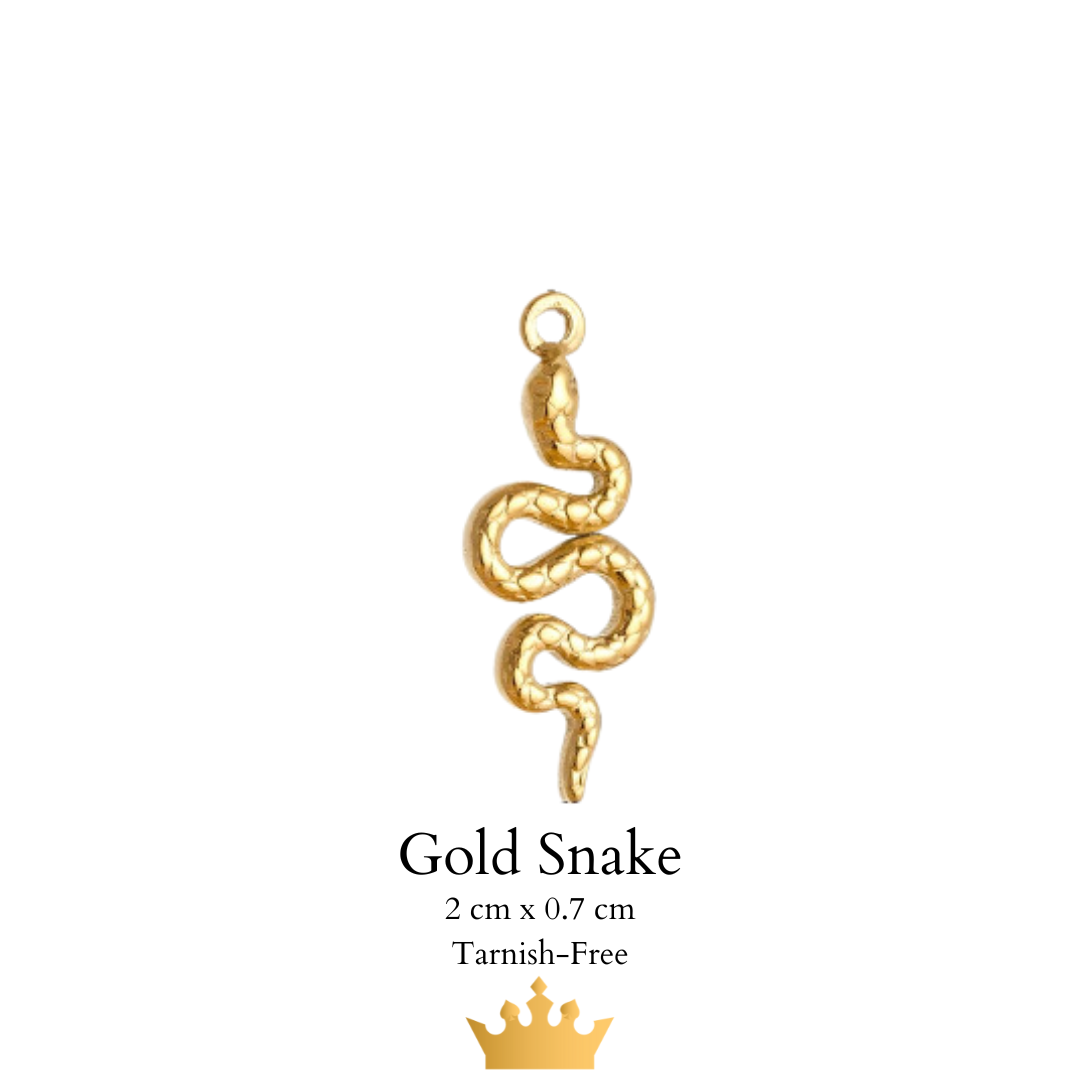 Charm Anklet